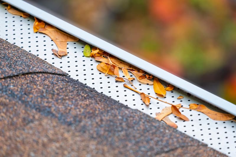 Why Gutter Guards Are Essential for Your Home